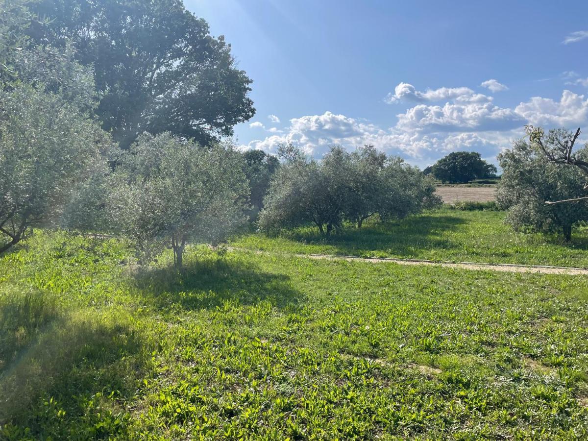 Sous Les Etoiles En Provence, Gite Les Grands Chenes Lurs Ngoại thất bức ảnh