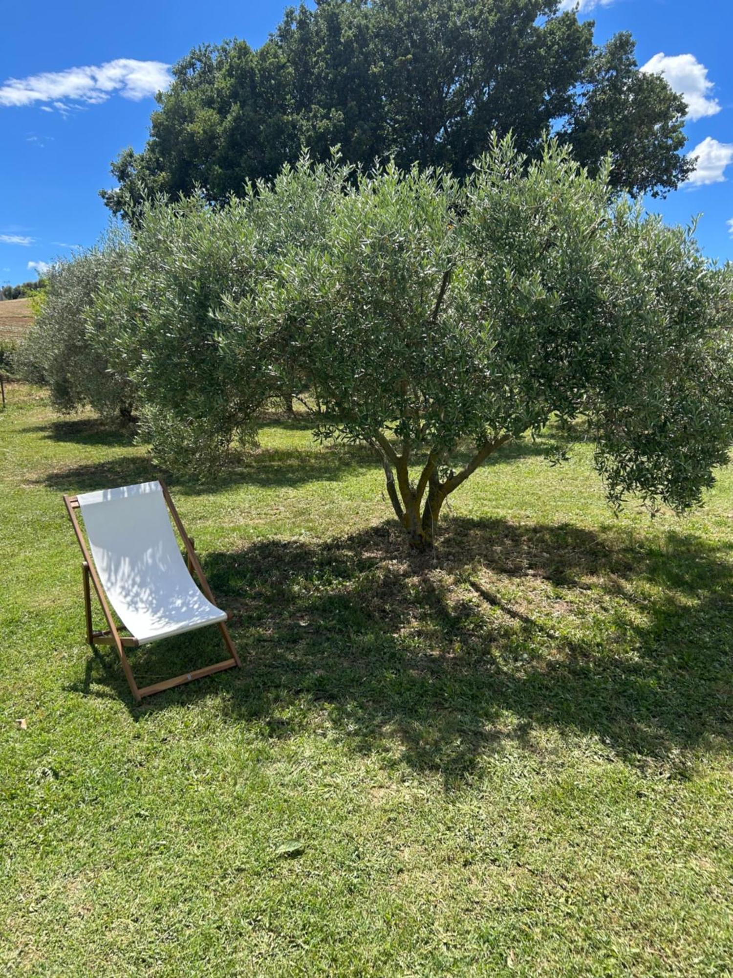 Sous Les Etoiles En Provence, Gite Les Grands Chenes Lurs Ngoại thất bức ảnh