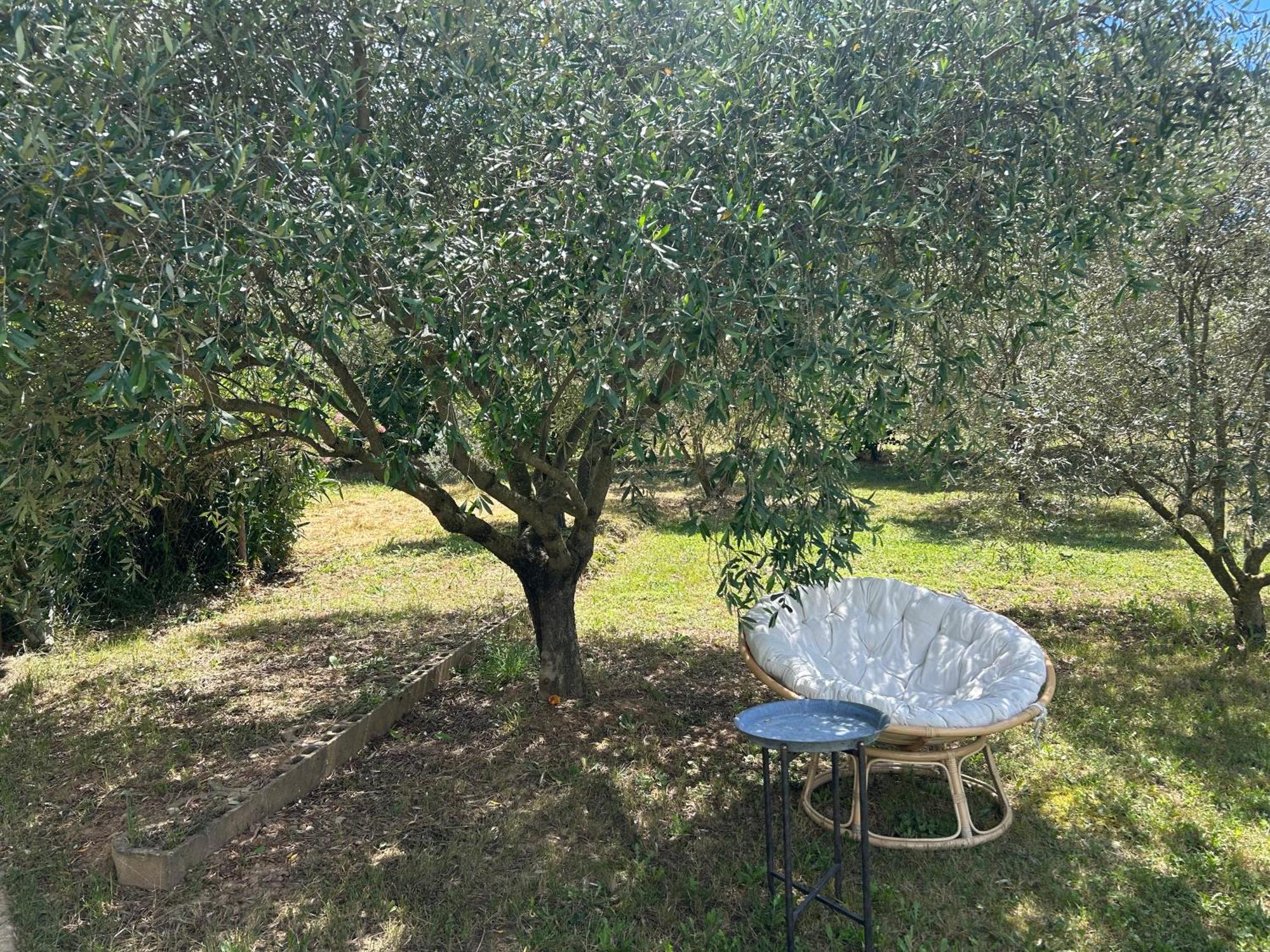 Sous Les Etoiles En Provence, Gite Les Grands Chenes Lurs Ngoại thất bức ảnh