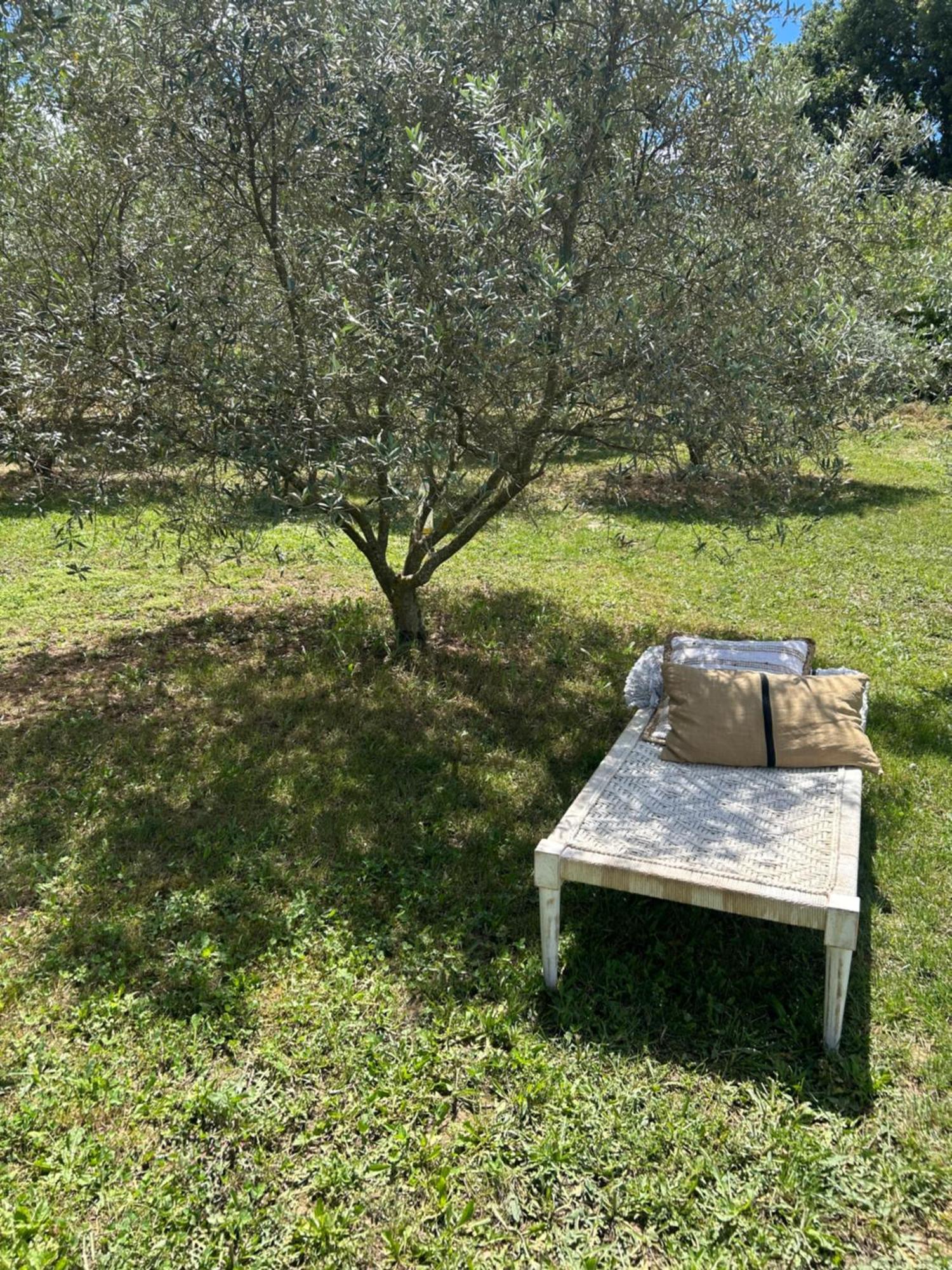 Sous Les Etoiles En Provence, Gite Les Grands Chenes Lurs Ngoại thất bức ảnh